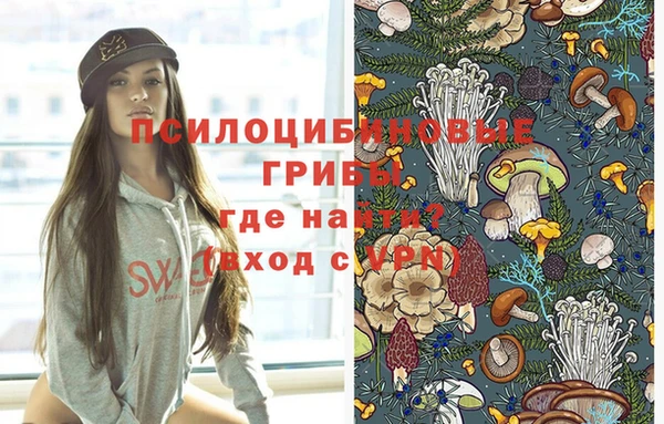 героин Елабуга